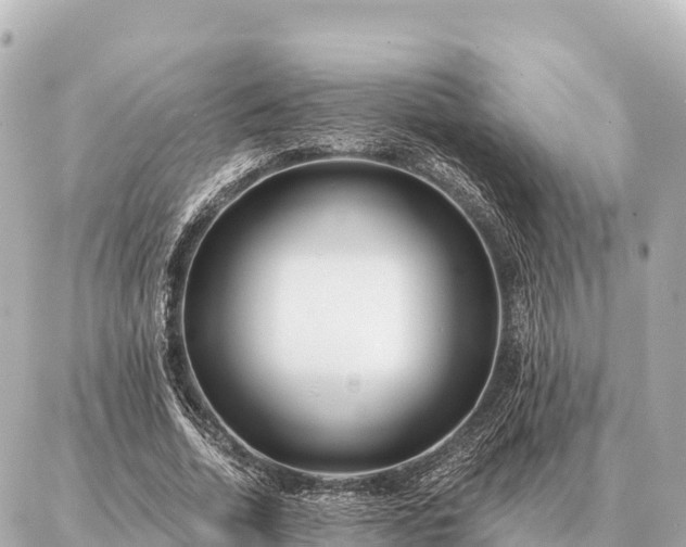 X0000086980730200704231819