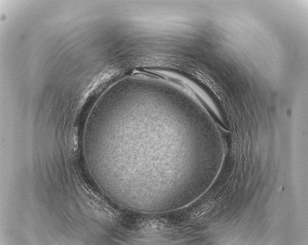 X0000086980731200704231819