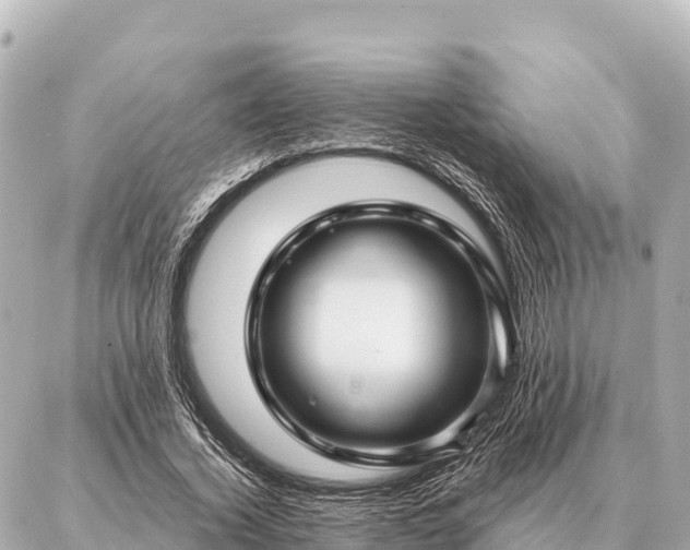 X0000086980732200704231819