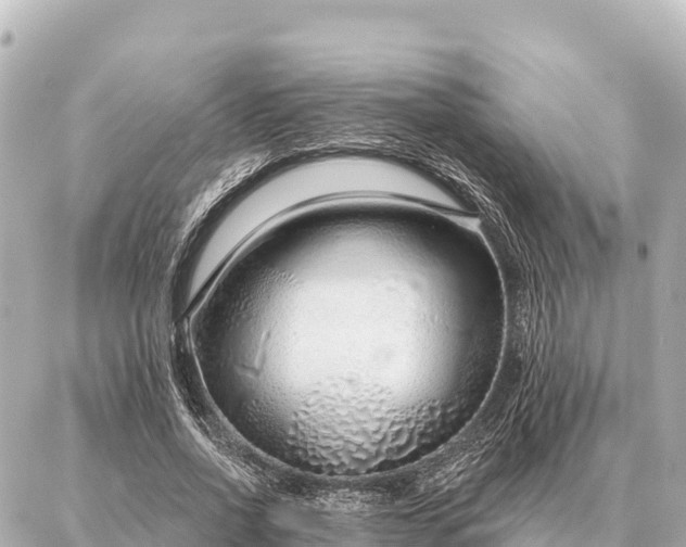 X0000086980734200704231819