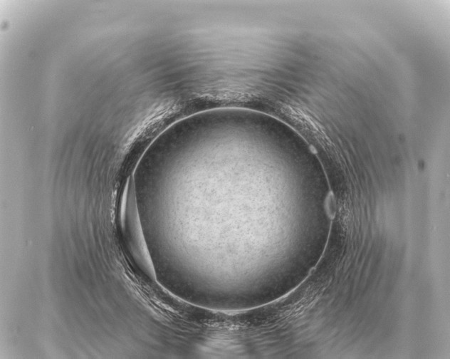 X0000086980735200704231819