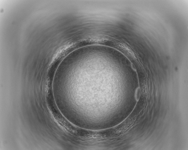 X0000086980736200704231819