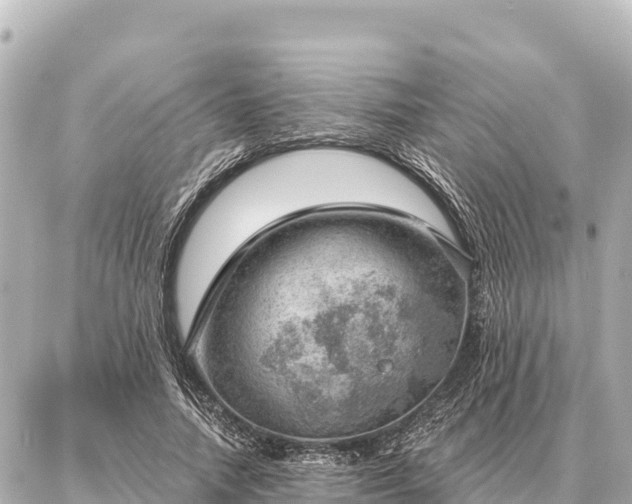 X0000086980738200704231819