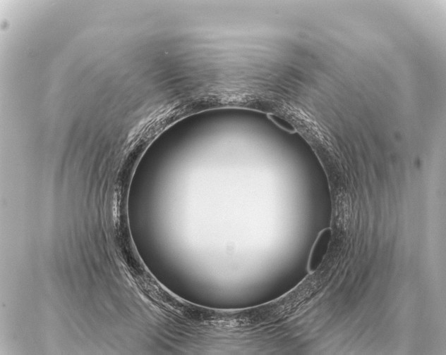 X0000086980740200704231819