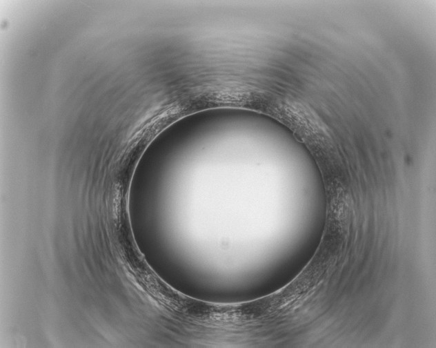 X0000086980744200704231819