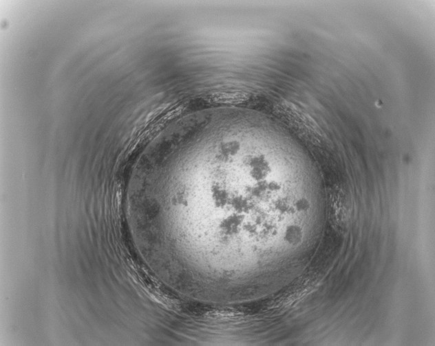 X0000086980745200704231819