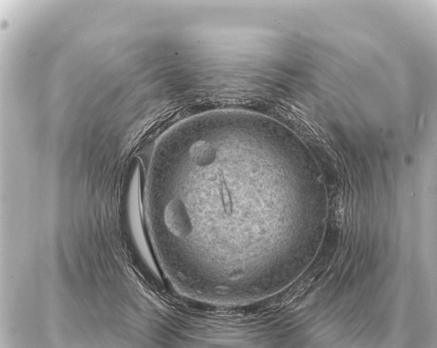 X0000086980746200704231819