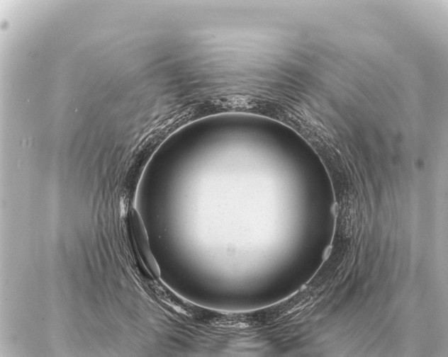 X0000086980747200704231819