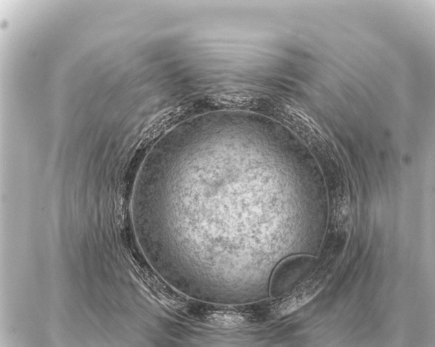 X0000086980749200704231819