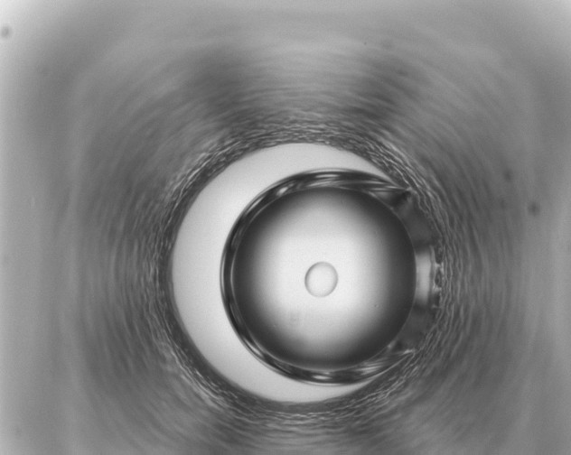 X0000086980750200704231819