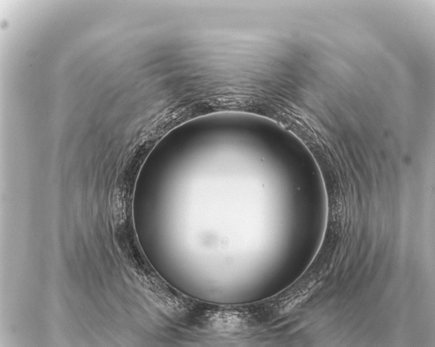 X0000086980751200704231819