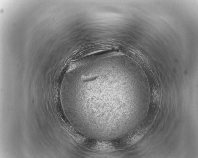 X0000086980753200704231819