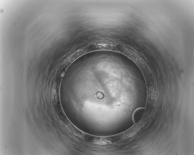 X0000086980754200704231819