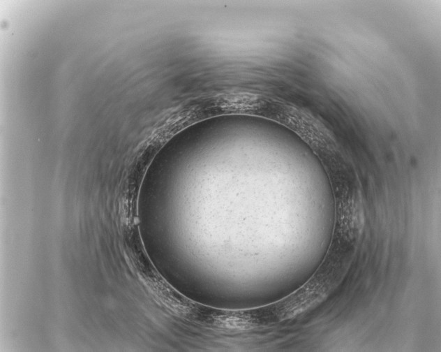 X0000086980755200704231819