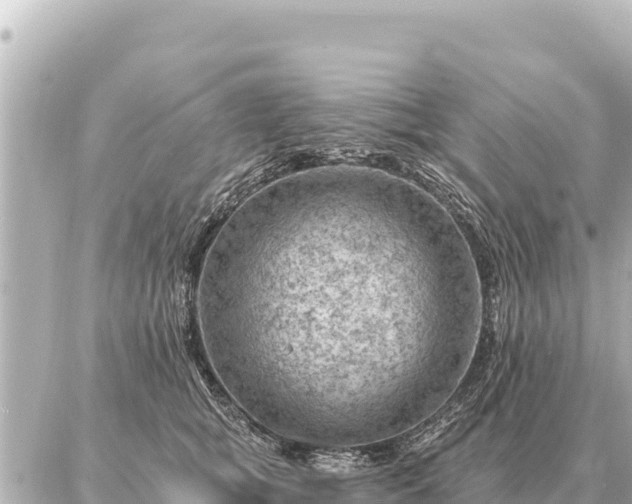 X0000086980757200704231819