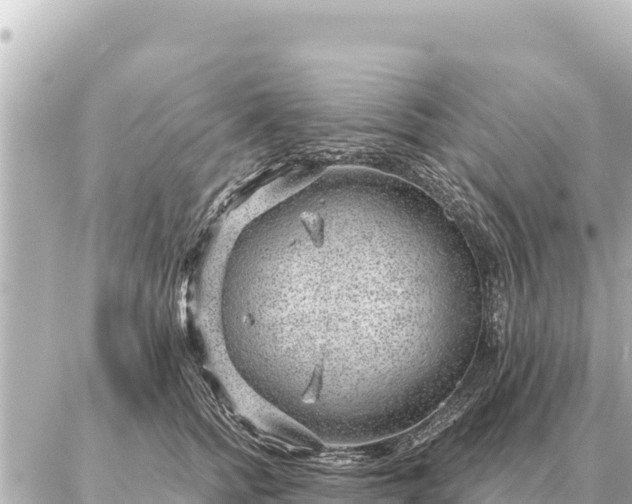 X0000086980758200704231819