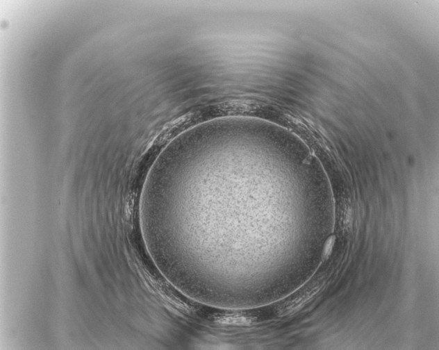 X0000086980759200704231819