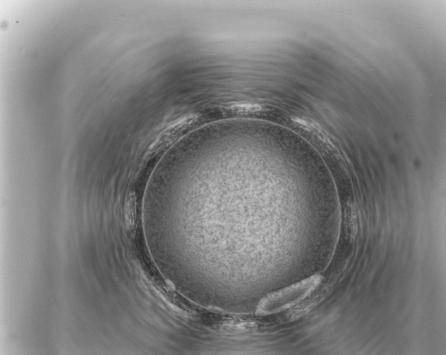 X0000086980760200704231819