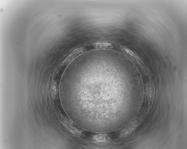 X0000086980761200704231819