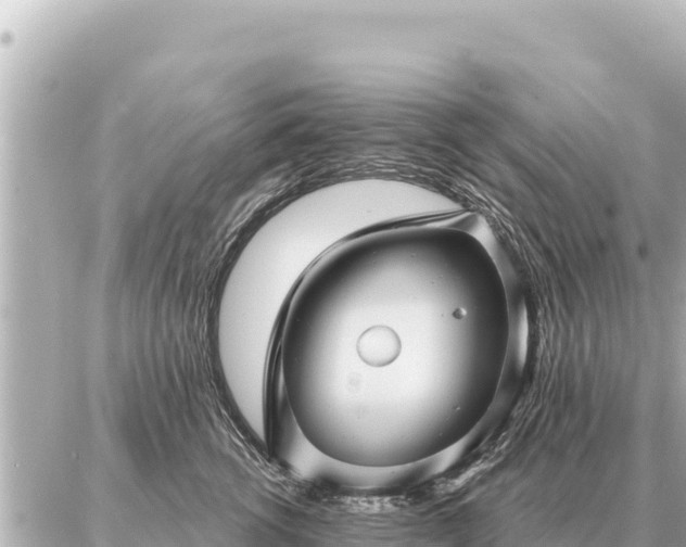 X0000086980762200704231819