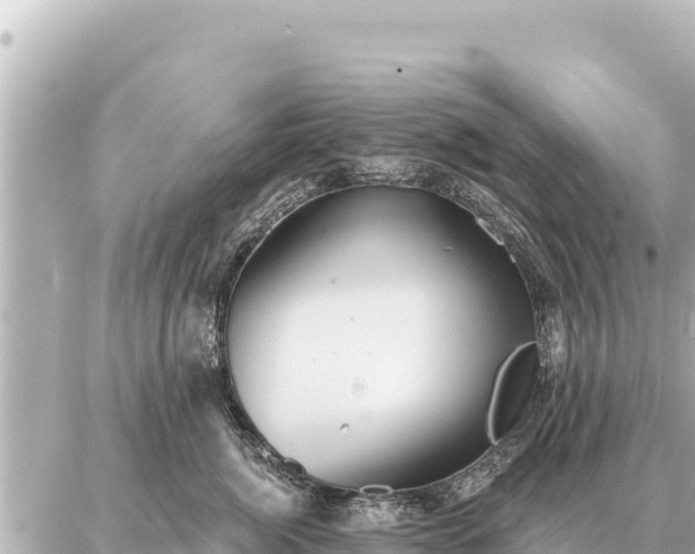 X0000086980764200704231819