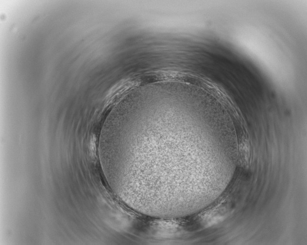 X0000086980765200704231819