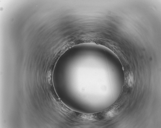 X0000086980767200704231819