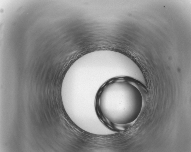 X0000086980768200704231819