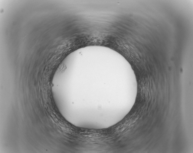 X0000086980769200704231818