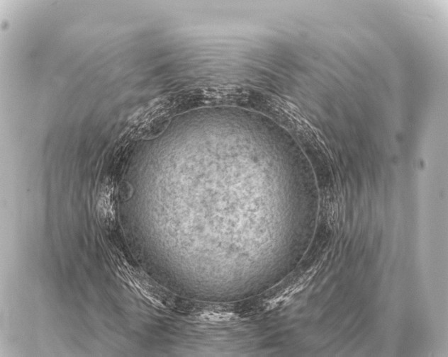 X0000086980770200704231818