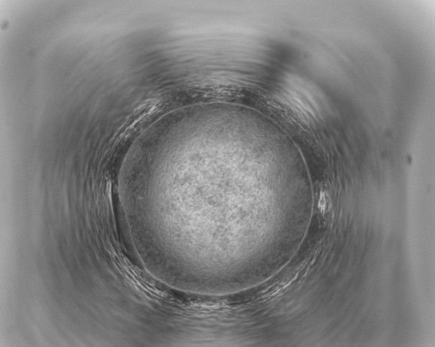 X0000086980771200704231818