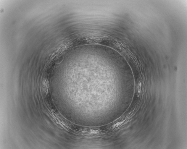 X0000086980772200704231818