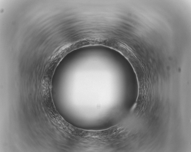 X0000086980773200704231818