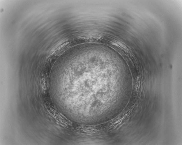 X0000086980774200704231818