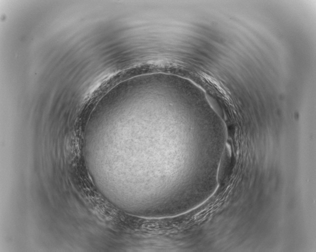 X0000086980776200704231818