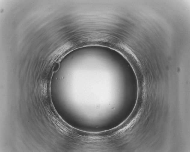 X0000086980777200704231818