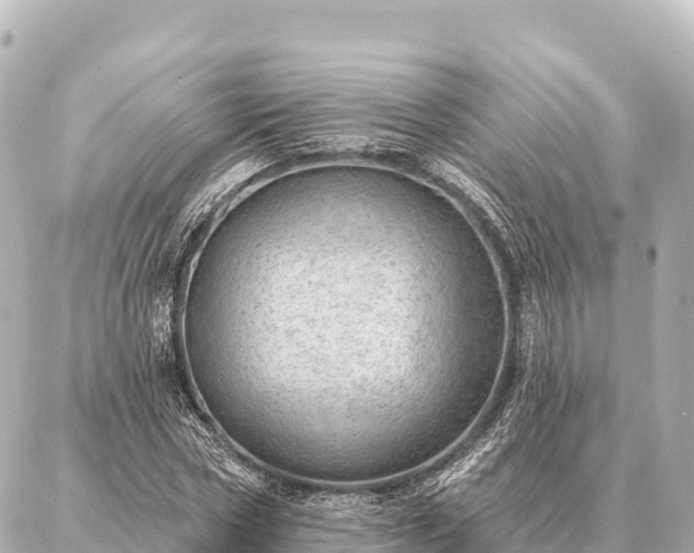 X0000086980778200704231818