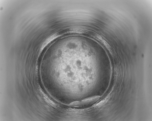 X0000086980779200704231818