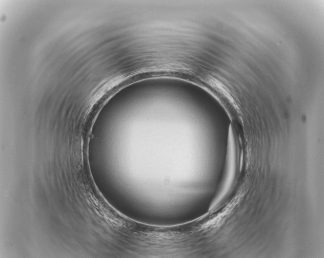 X0000086980781200704231818