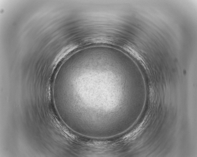 X0000086980782200704231818