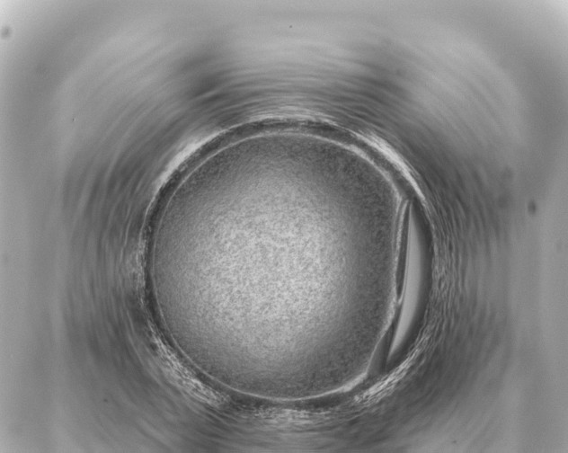 X0000086980783200704231818