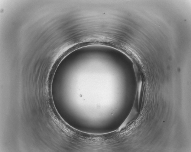 X0000086980784200704231818