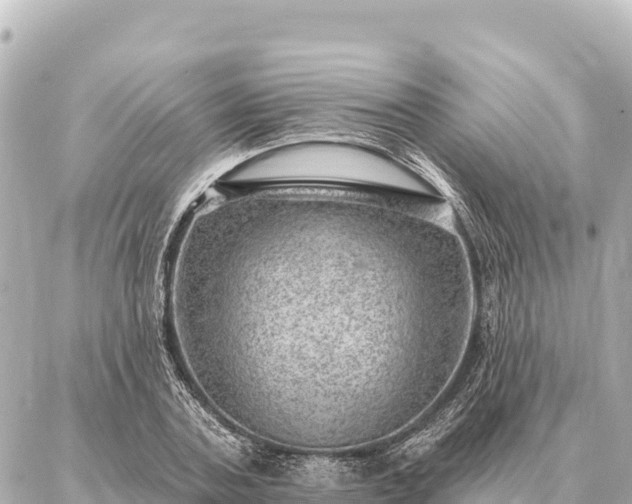 X0000086980787200704231818