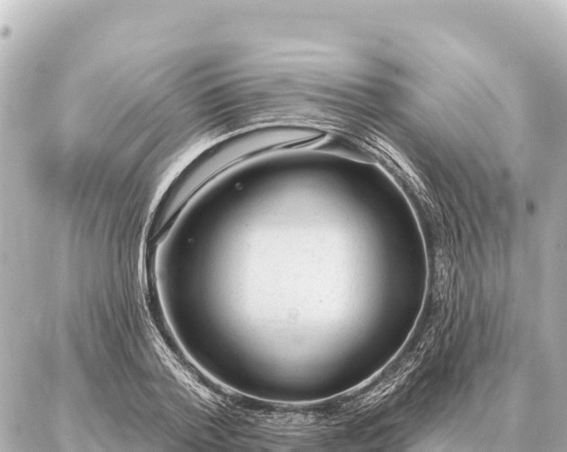 X0000086980788200704231818