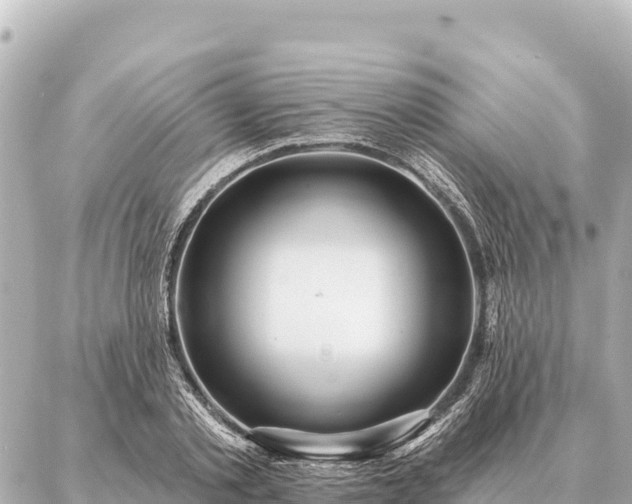 X0000086980789200704231818