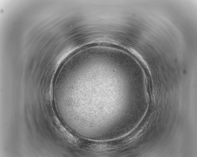 X0000086980791200704231818