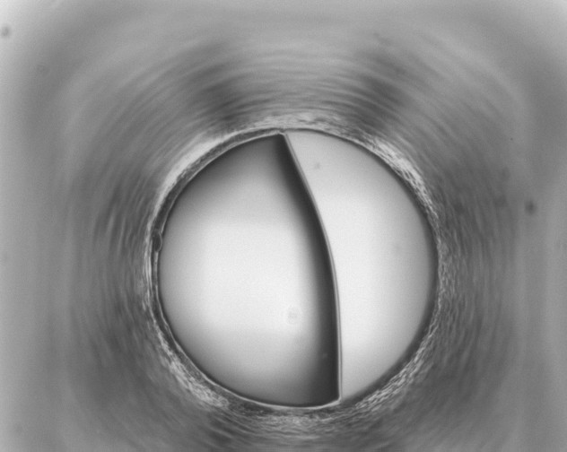 X0000086980792200704231818