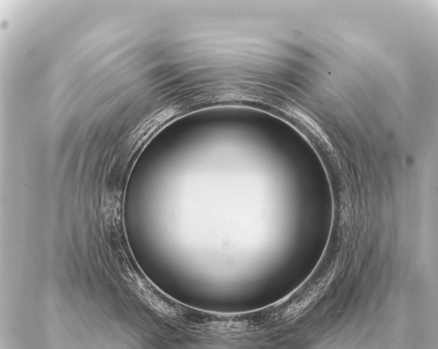 X0000086980793200704231818