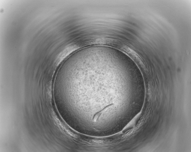 X0000086980794200704231818