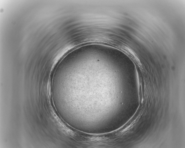 X0000086980796200704231818